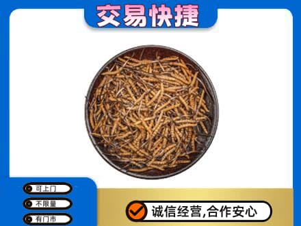 贵阳市南明回收散虫草